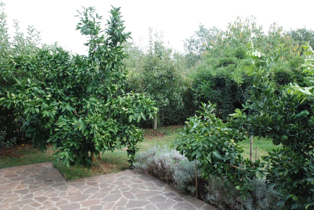 Apartmani Radin Rosini Exterior foto